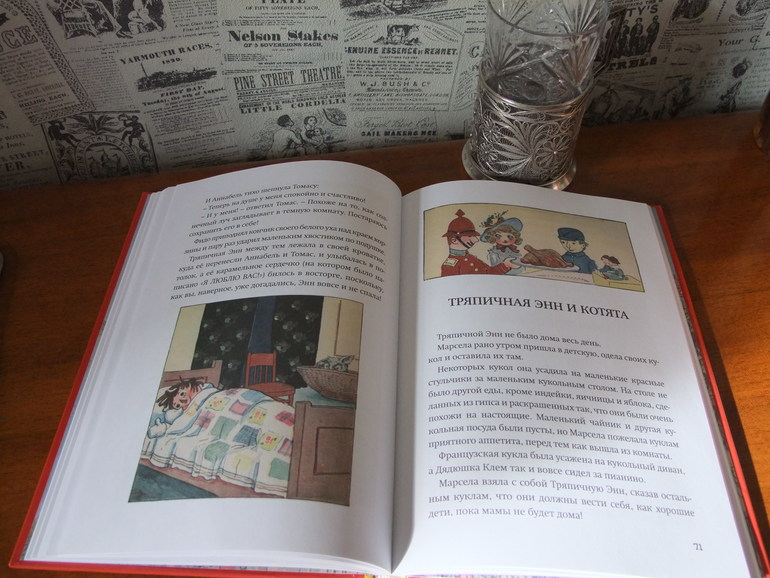 Тряпичная Энн (книга-старушка 96 лет)