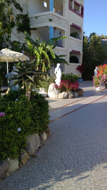 о.Кос  Apollon Hotel