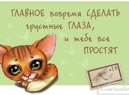 Прикольные картинки)