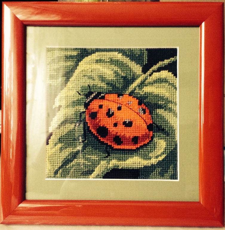 Наконец оформили...