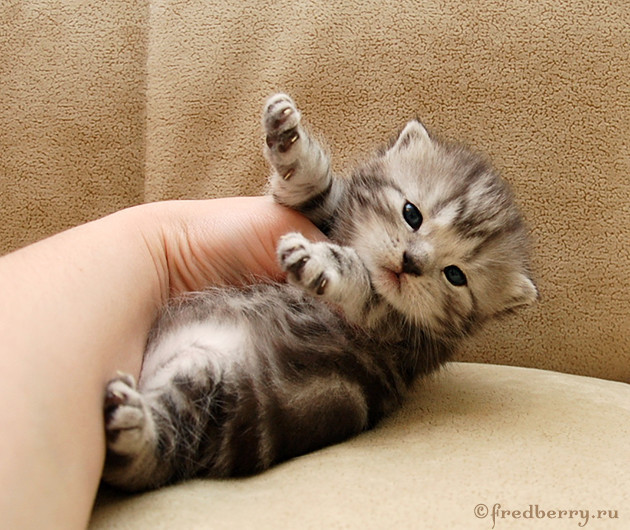 А нам 3 недельки :)