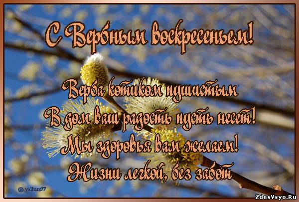 1419a434dfb8c49e3cfc39e31799c5ad.jpg