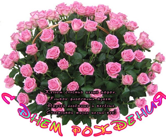 aec9c58c9b43948144346ed86e24a330.jpg