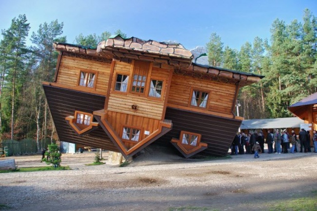 сумасшедший дом