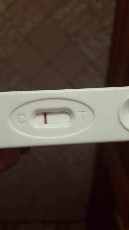 сегодняшнее утро