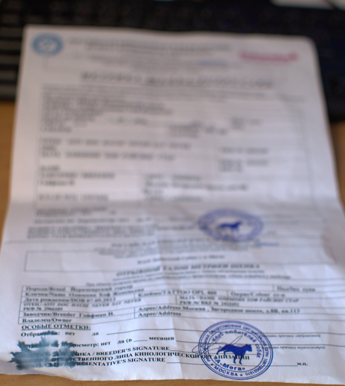 Вопрос по поводу метрики и прививок.