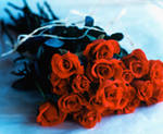 9592a1f0d57aaf6ba3c08bb6aaa0207d.jpg