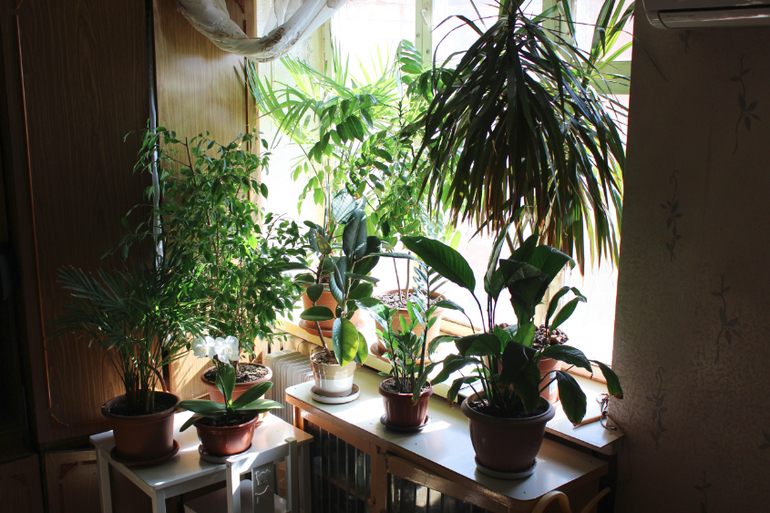 Эволюция продолжается)))