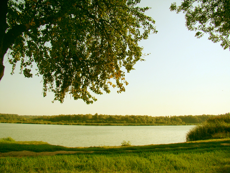 Контрольное задание № 6. Три способа цветокоррекций фотографий