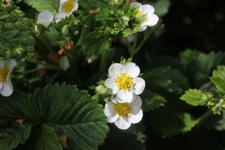 Наша первая поездка!=))))Отдых и умелки!!!