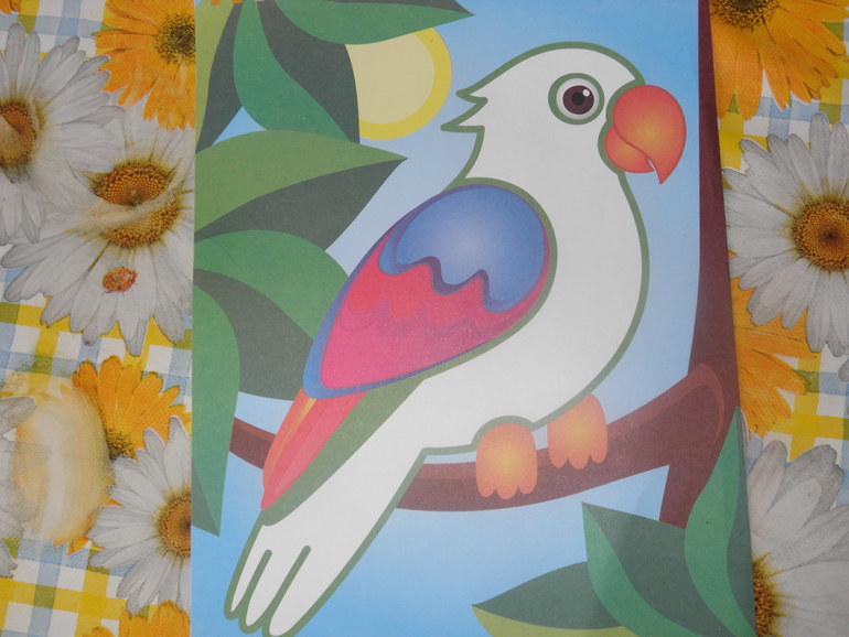 Изучаем зеленый цвет