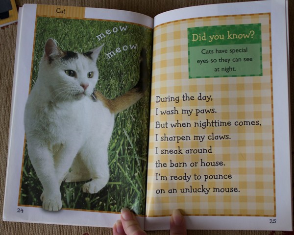 Отчет по лотерее 26.