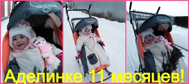 11 месяцев