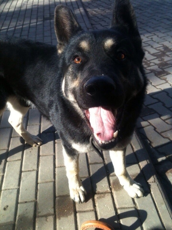 Джон и Аришка