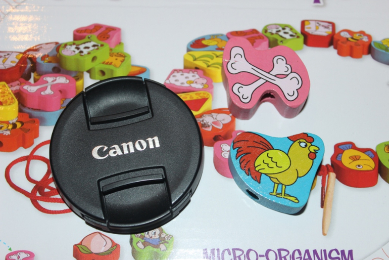 Мир развивающих игрушек. Хвастик)