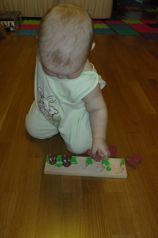 ФМ Домашние животные