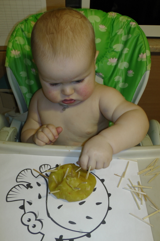 ФМ Домашние животные