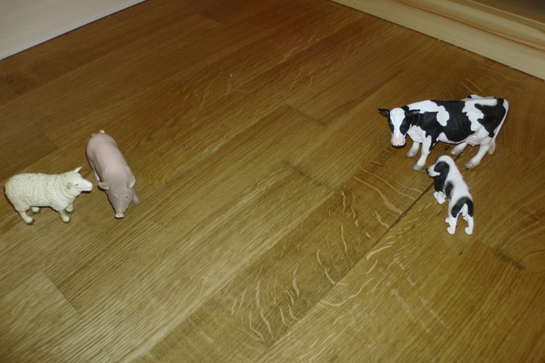 ФМ Домашние животные