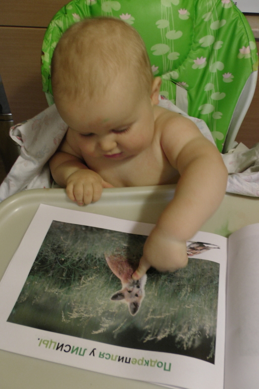 ТН Осень Д.5