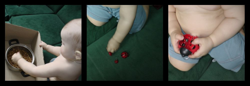 ТД "Божья коровка"