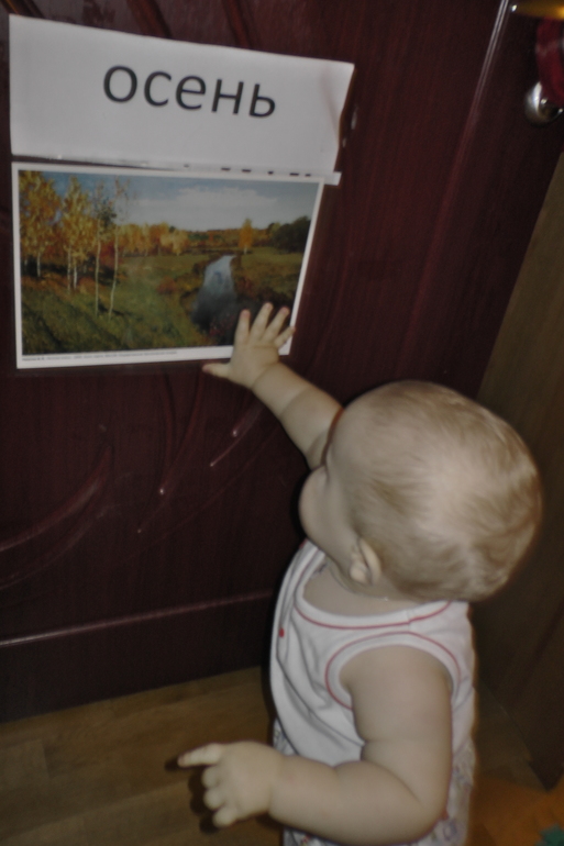 ТН Осень Д.1