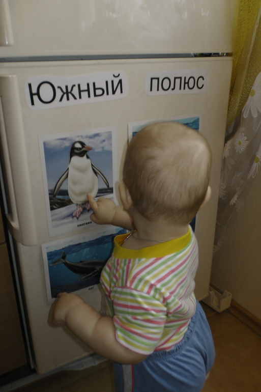 ФМ ТН Арктика и Антарктика