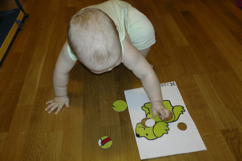 ФМ Домашние животные