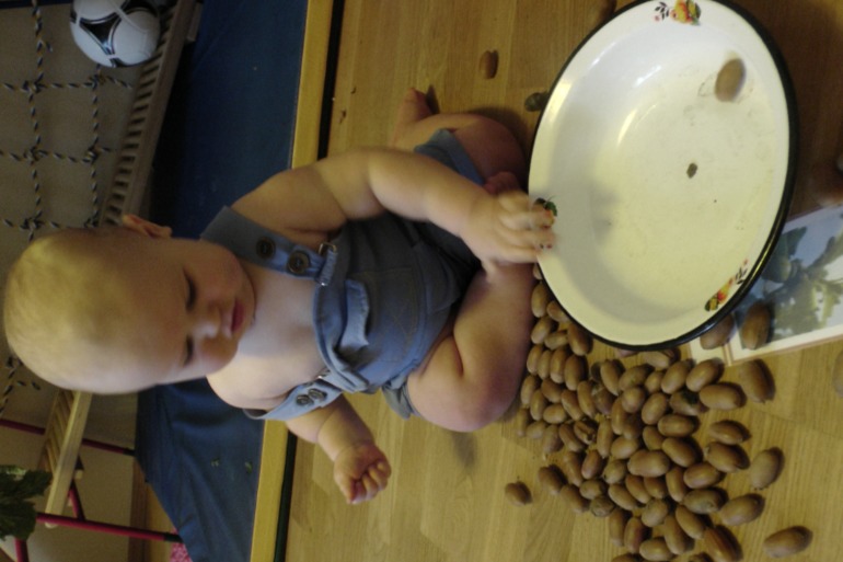 ТН Осень Д.1