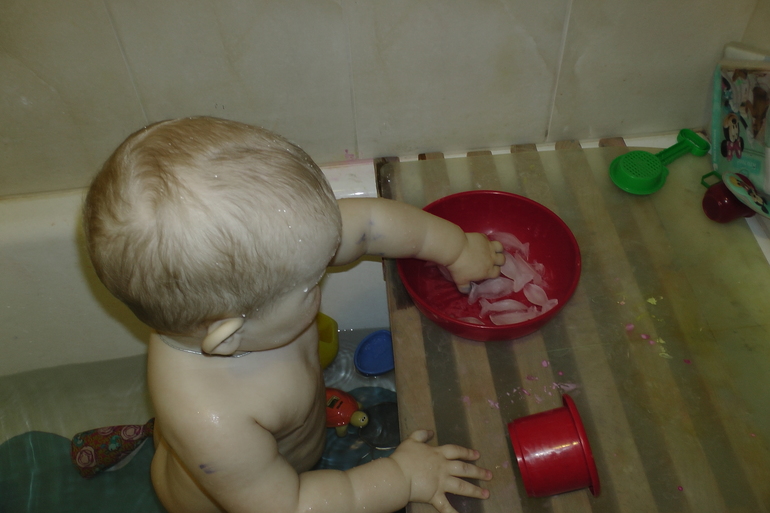 ФМ Домашние животные