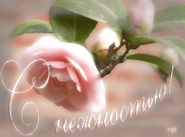 a80da6d1677369c9c29cec35634e4a7e.gif