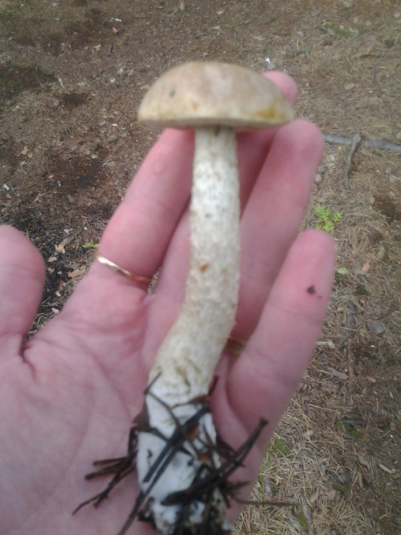 Вот это мы погуляли!!!