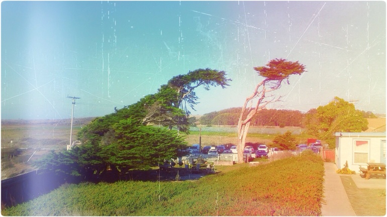 Day #14 (10,5)