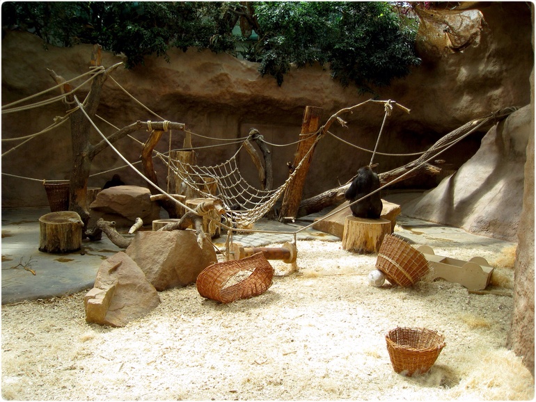 Прага, Чехия. 2009 (день третий)