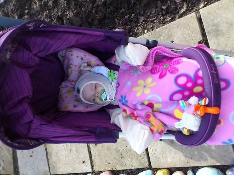 наша Cybex Callisto