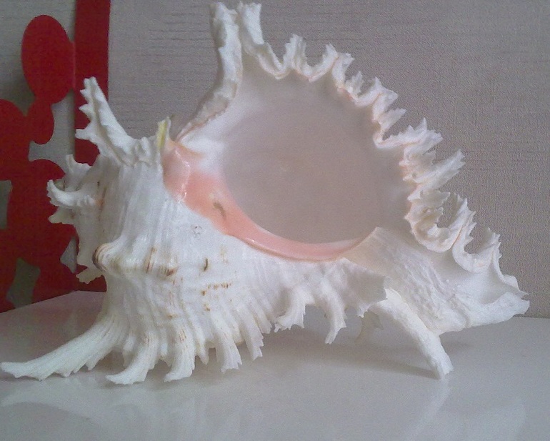 6 марта. Воспоминание.