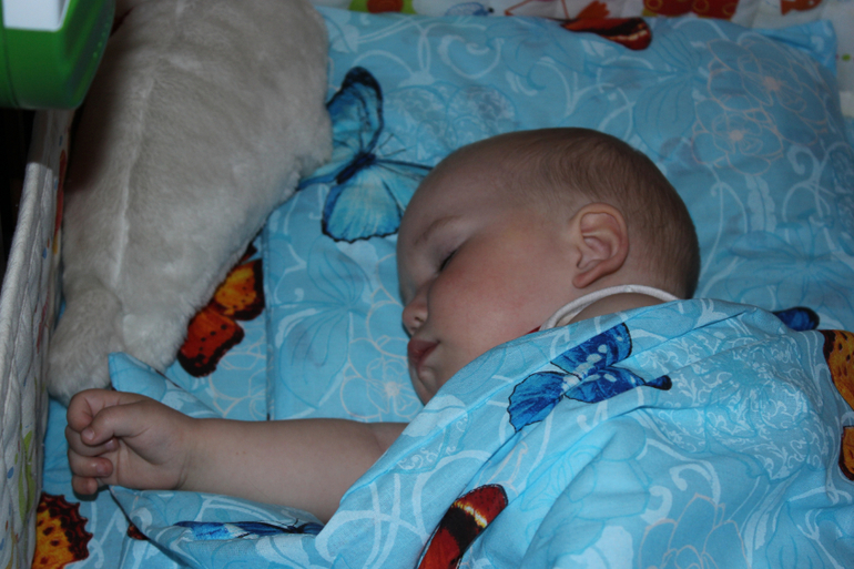 Год и шесть