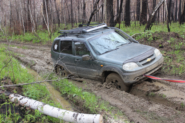 Жыпопокатушки