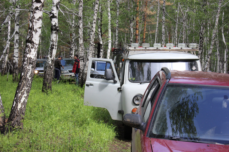 Жыпопокатушки