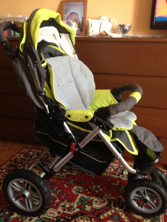 Прогулочная коляска Carolina Pride