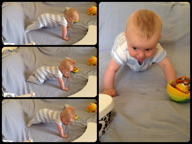 Пятимесячина