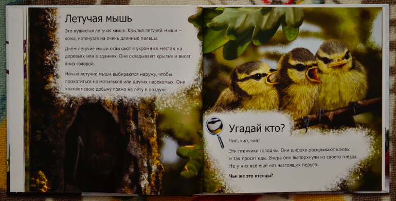 Эту книгу мы возьмем с собой на дачу!