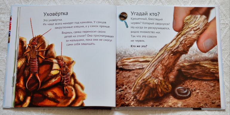 Эту книгу мы возьмем с собой на дачу - 2