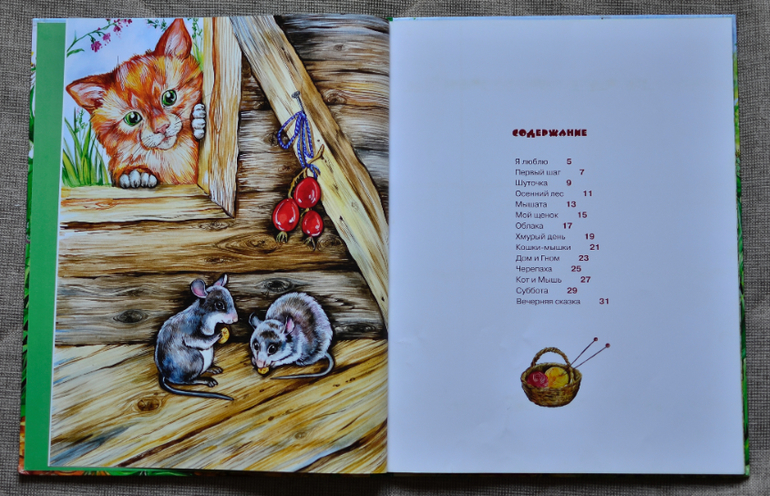 Большая книга для маленького читателя