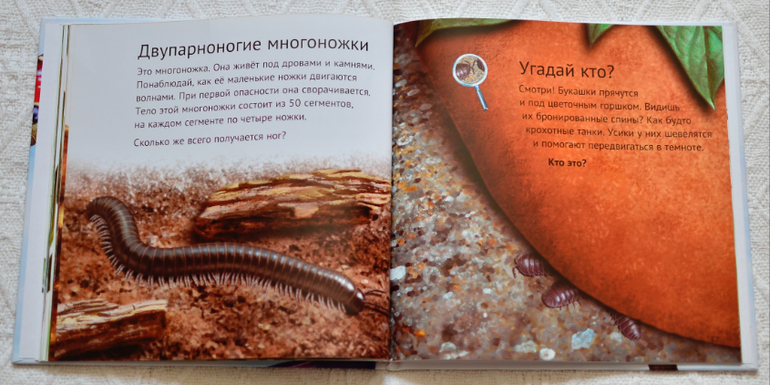 Эту книгу мы возьмем с собой на дачу - 2