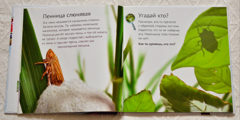 Эту книгу мы возьмем с собой на дачу - 2