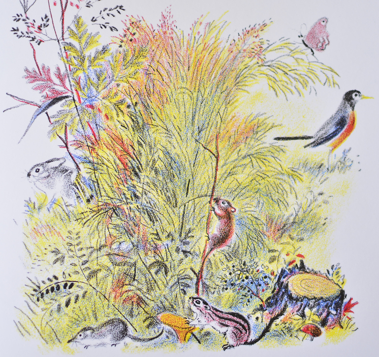 Луговая считалочка