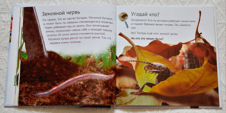 Эту книгу мы возьмем с собой на дачу - 2