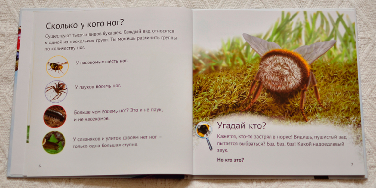 Эту книгу мы возьмем с собой на дачу - 2