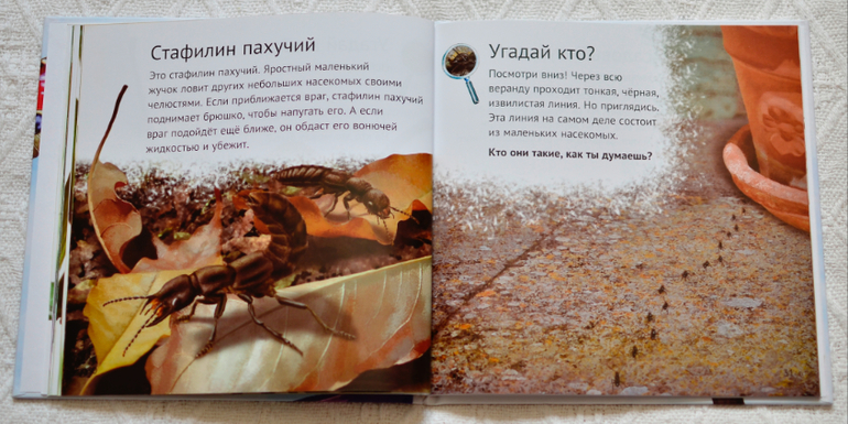 Эту книгу мы возьмем с собой на дачу - 2