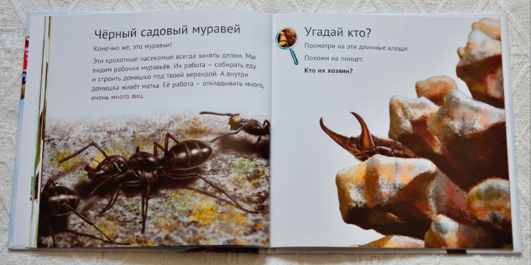 Эту книгу мы возьмем с собой на дачу - 2